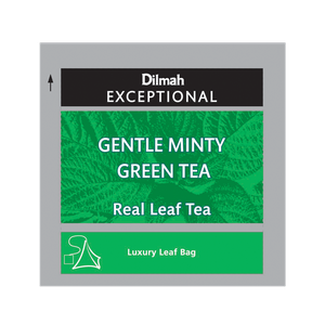 DILMAH EXCEPTIONAL GENTLE MINTY GREEN CHÁ